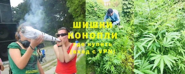 a pvp Алзамай