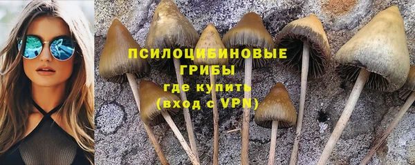 a pvp Алзамай