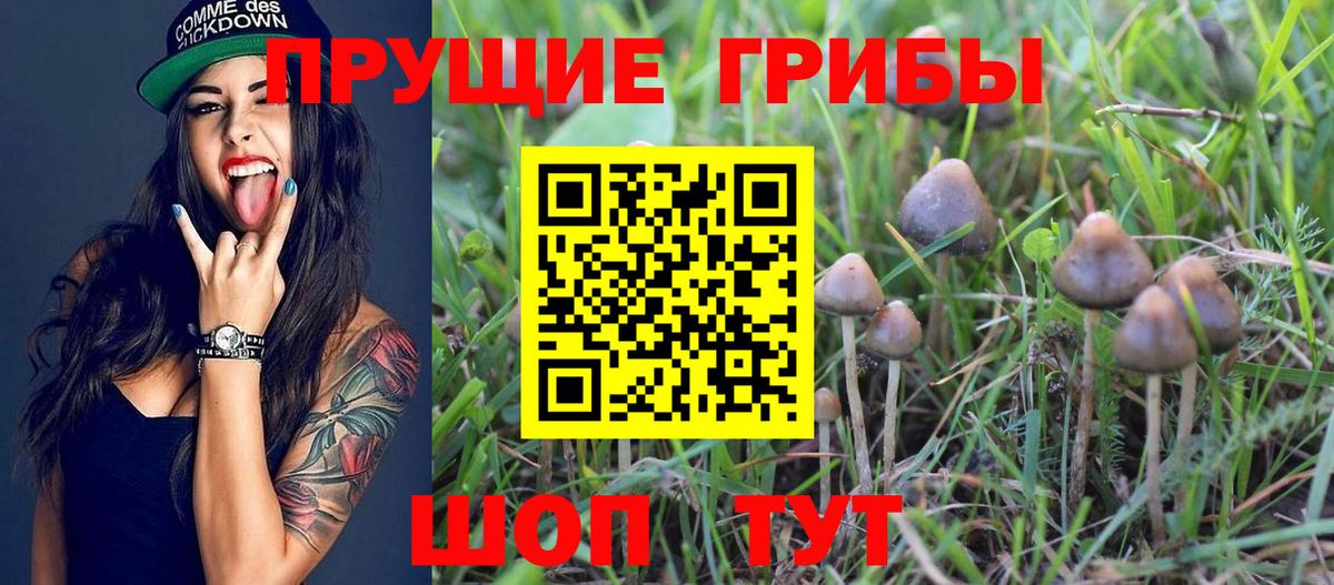 Бошки Шишки  Вход с VPN  Дзержинский  Кокаин  ГАШ  МЕФ  